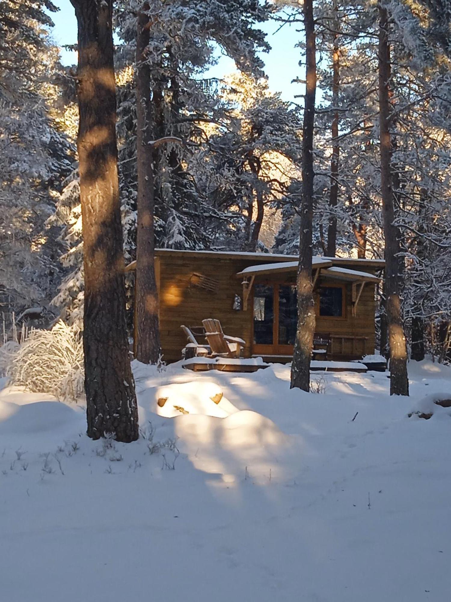 Chalet Hibou 1 Couchage En 140 Domaine De La Mamounette Champclause Eksteriør billede