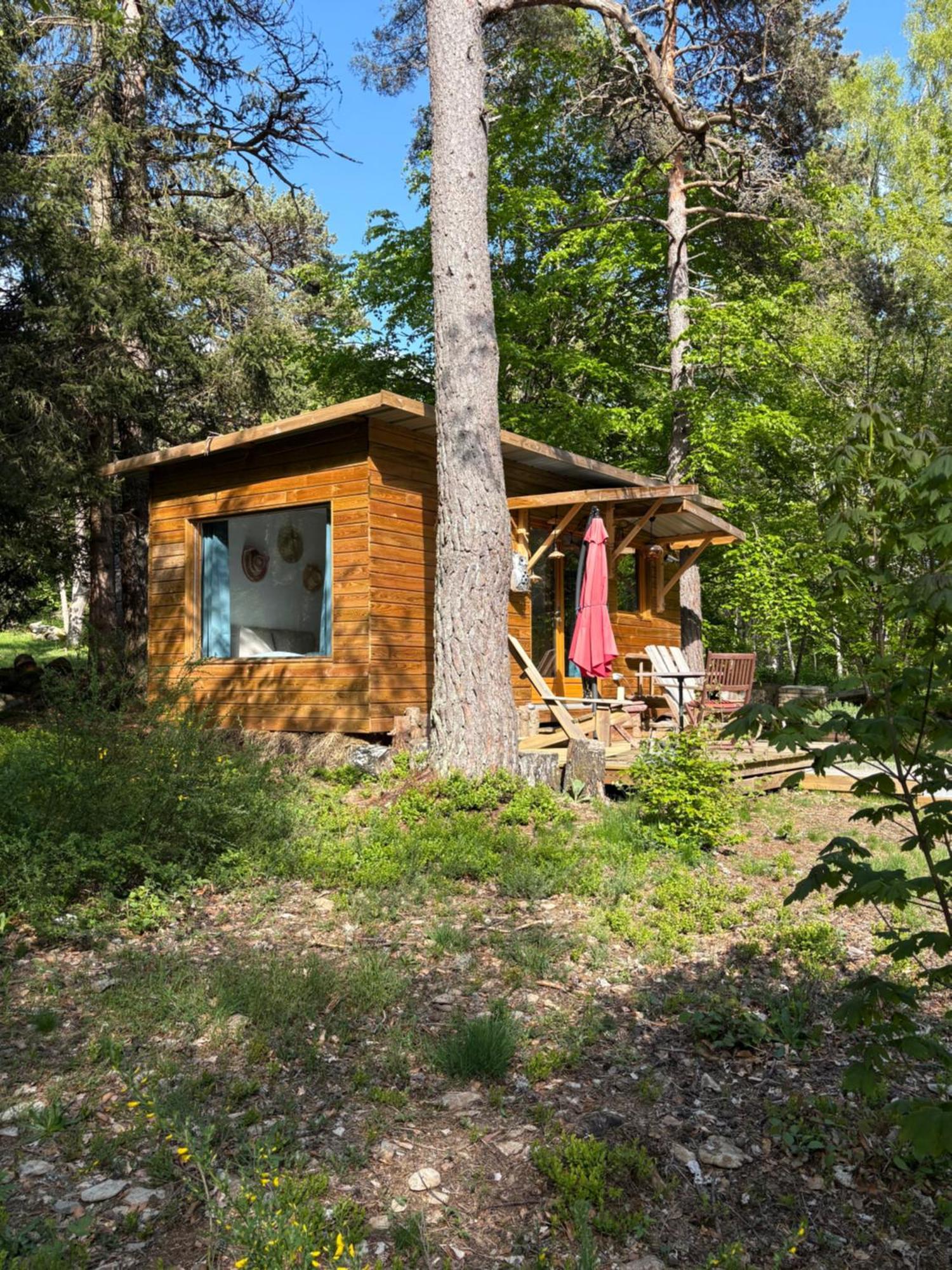 Chalet Hibou 1 Couchage En 140 Domaine De La Mamounette Champclause Eksteriør billede